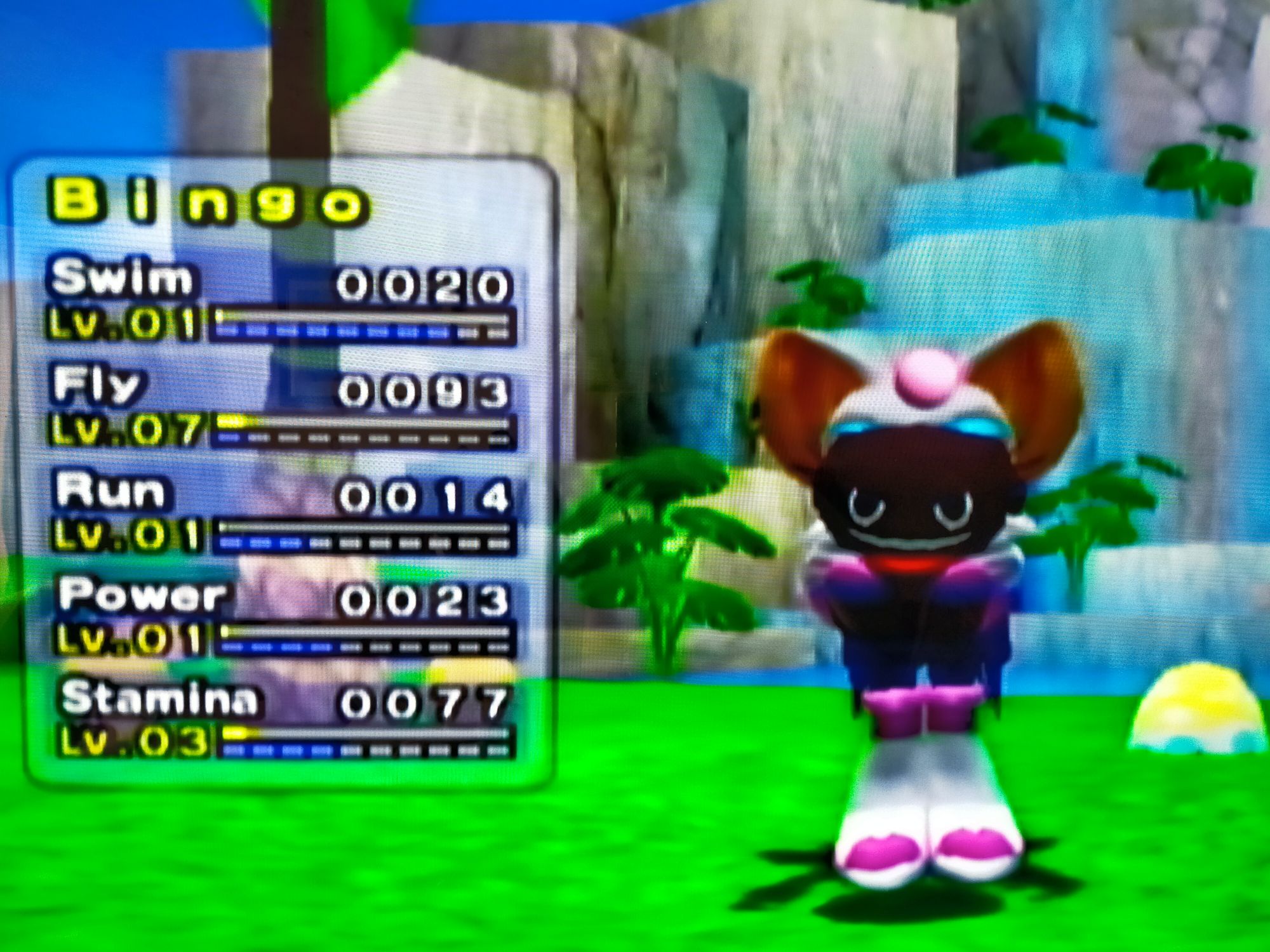 Bingo as a baby