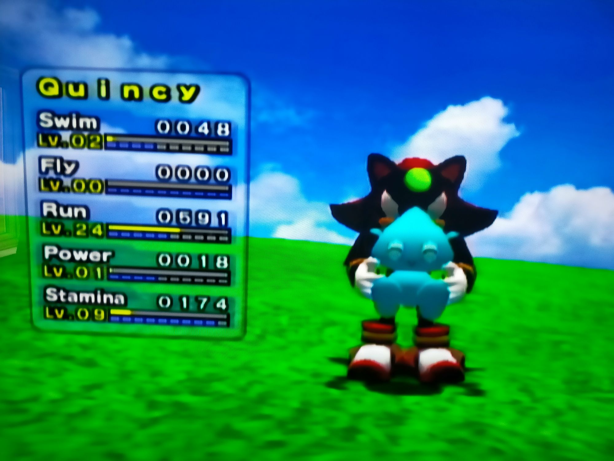 Quincy as an adult