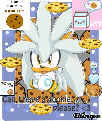 Silver the hedgehog says 'Can I have a cookie please?'